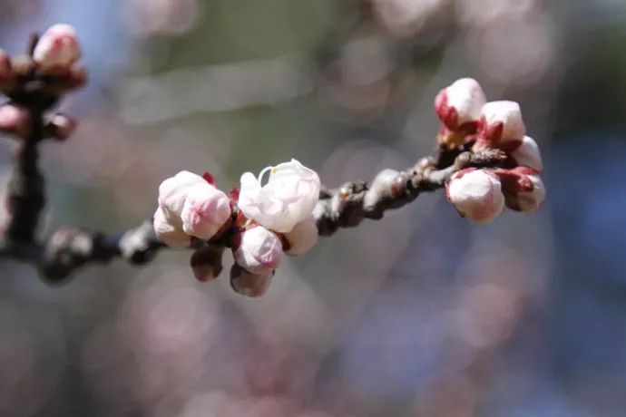 梦见冥币是什么意思_梦见冥币纸钱_梦见冥币